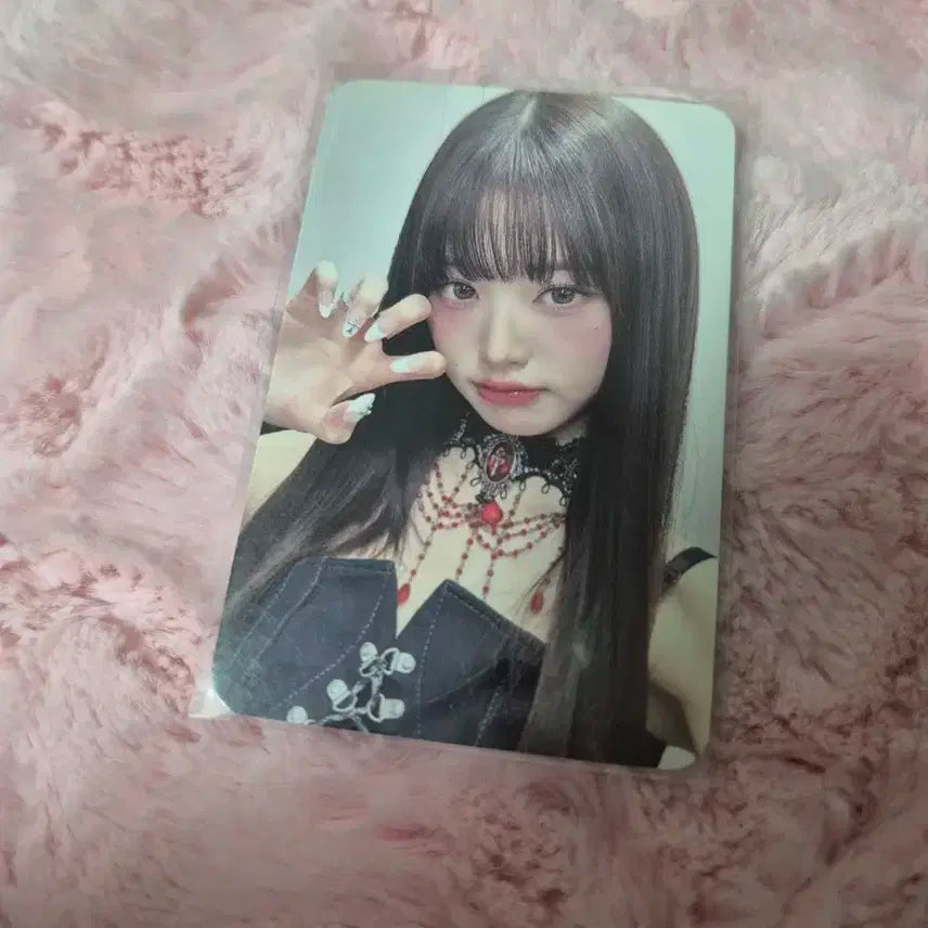 마인 마뮤테 원영 포카