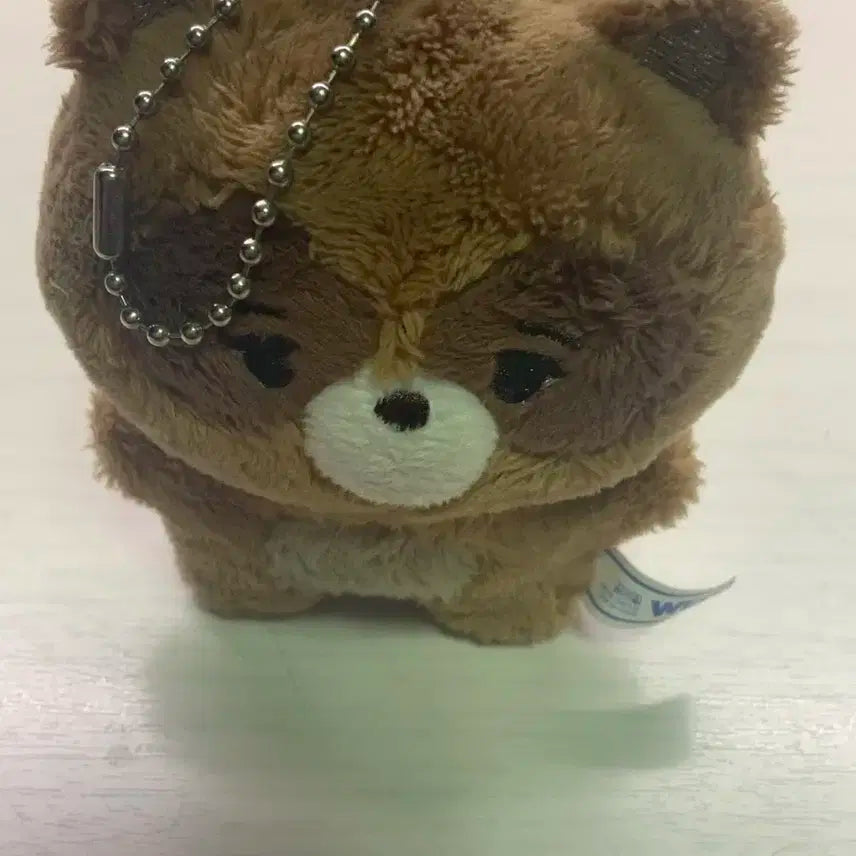 더보이즈 선우 인형 쪼구리
