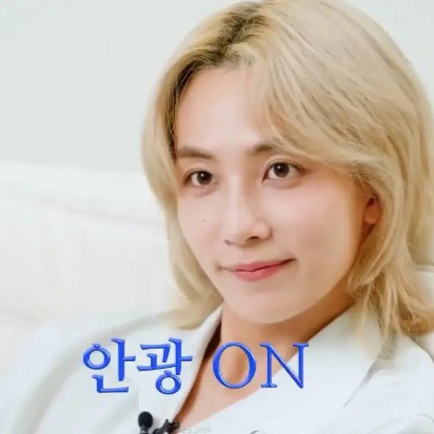 세븐틴 정규 5집 캐럿반 디에잇