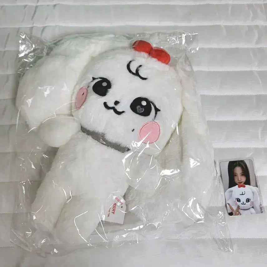 아이브 팝업 체리 30cm 인형 포카 포함 원영