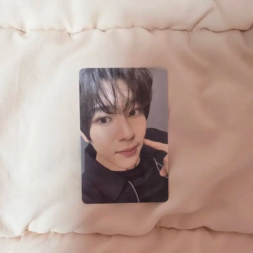 NCT WISH 시온 비욘드 라이브 비욘라 포카 엔시티 위시 교환 양도