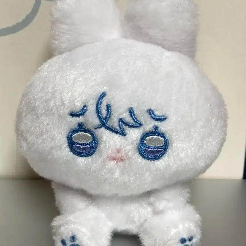 플레이브 예준 인형 예쫑