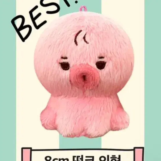 급처)더보이즈 선우 떤코 인형