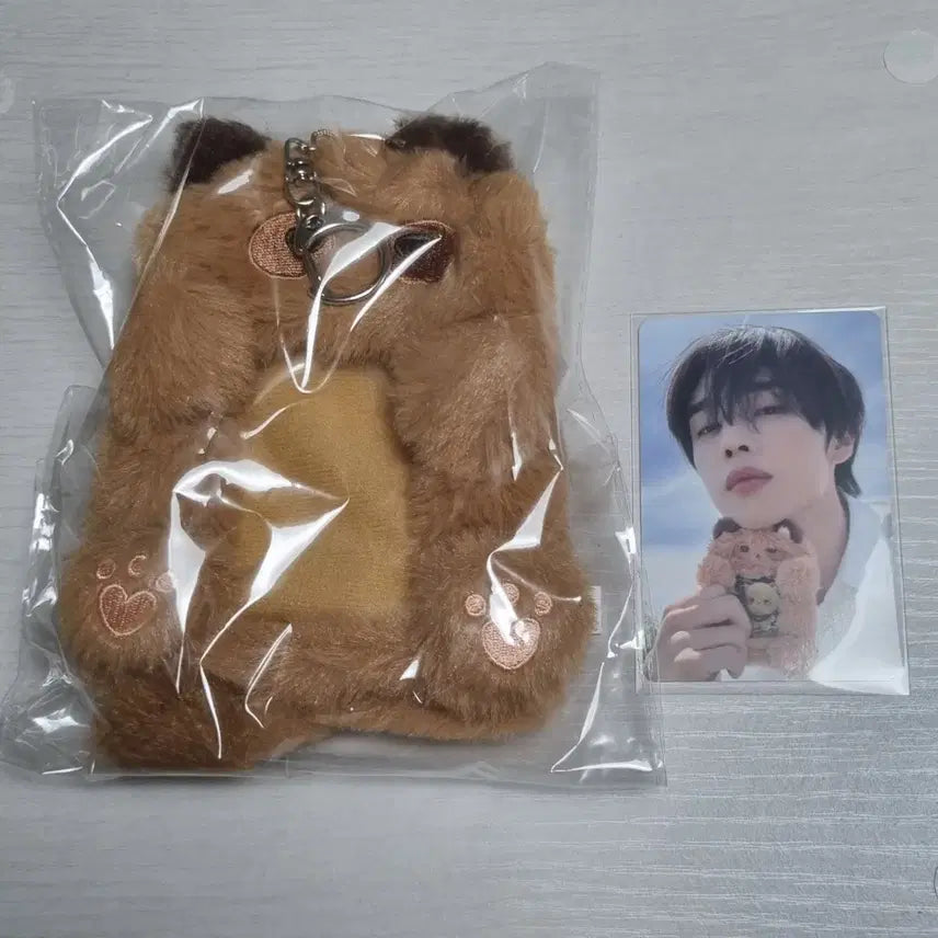더보이즈 선우 포카 홀더 양도