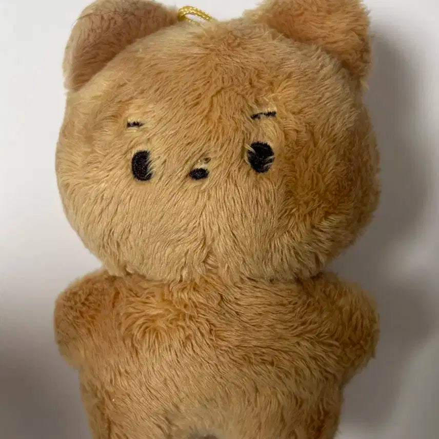 더보이즈 현재 인형 달곰이