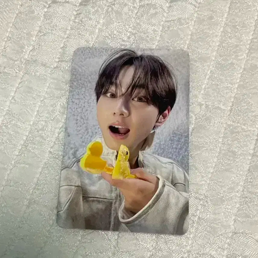엔하이픈 정원 daydream 포카