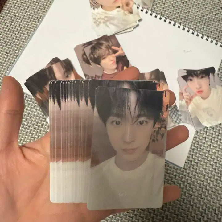 엔씨티위시 nct m2u 미공포 유우시 사쿠야