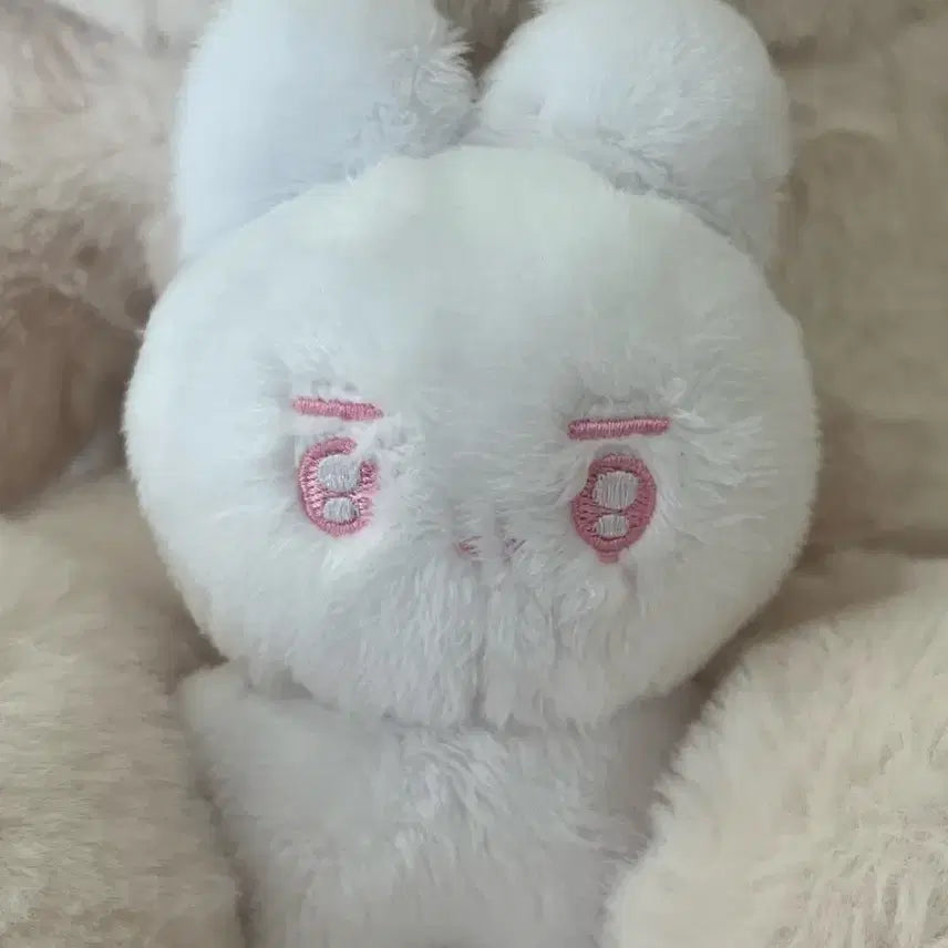 더보이즈 영훈 인형 빵바니