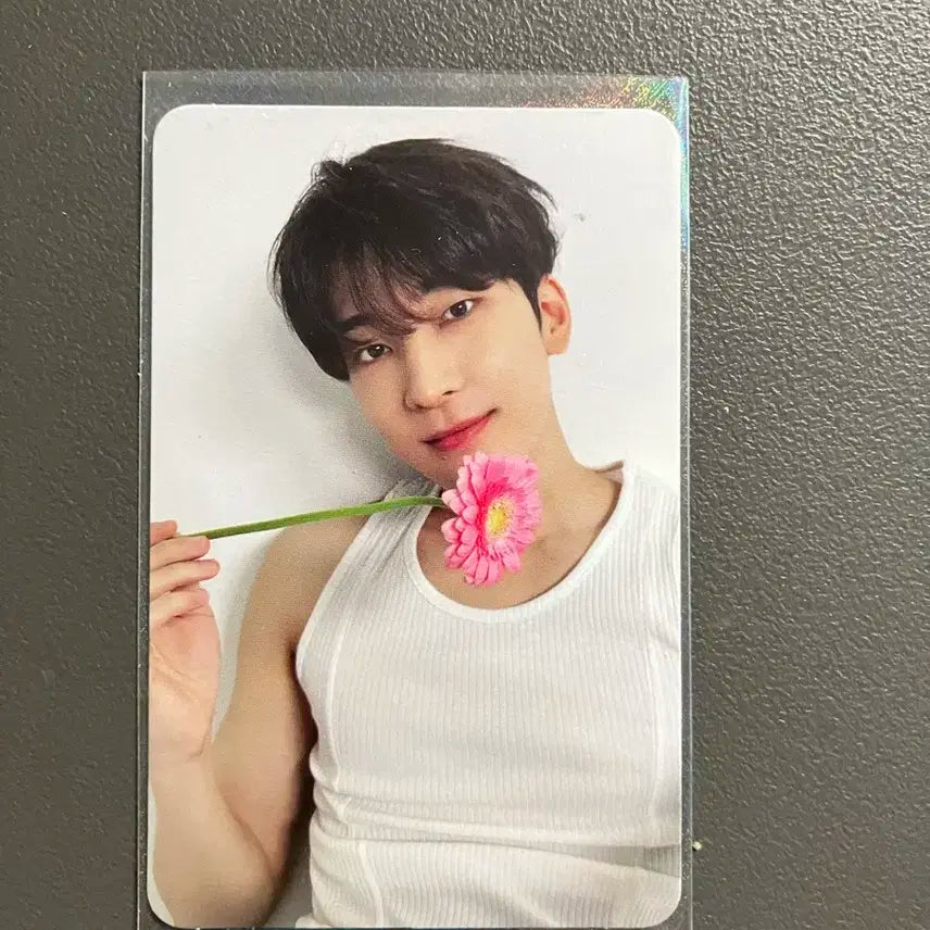 세븐틴 포카