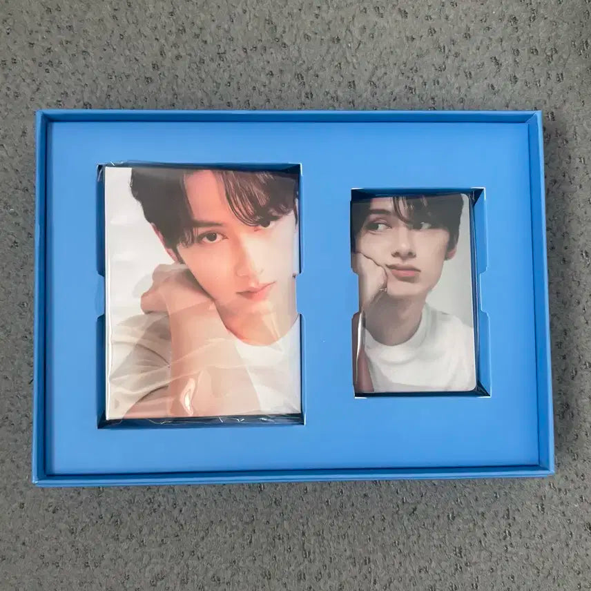 세븐틴 17 is right here 디어버전 캐럿반 준 양도