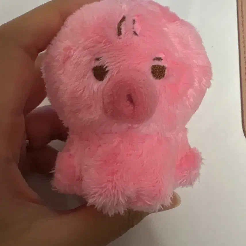 떤코 더보이즈 선우 인형 급처!!