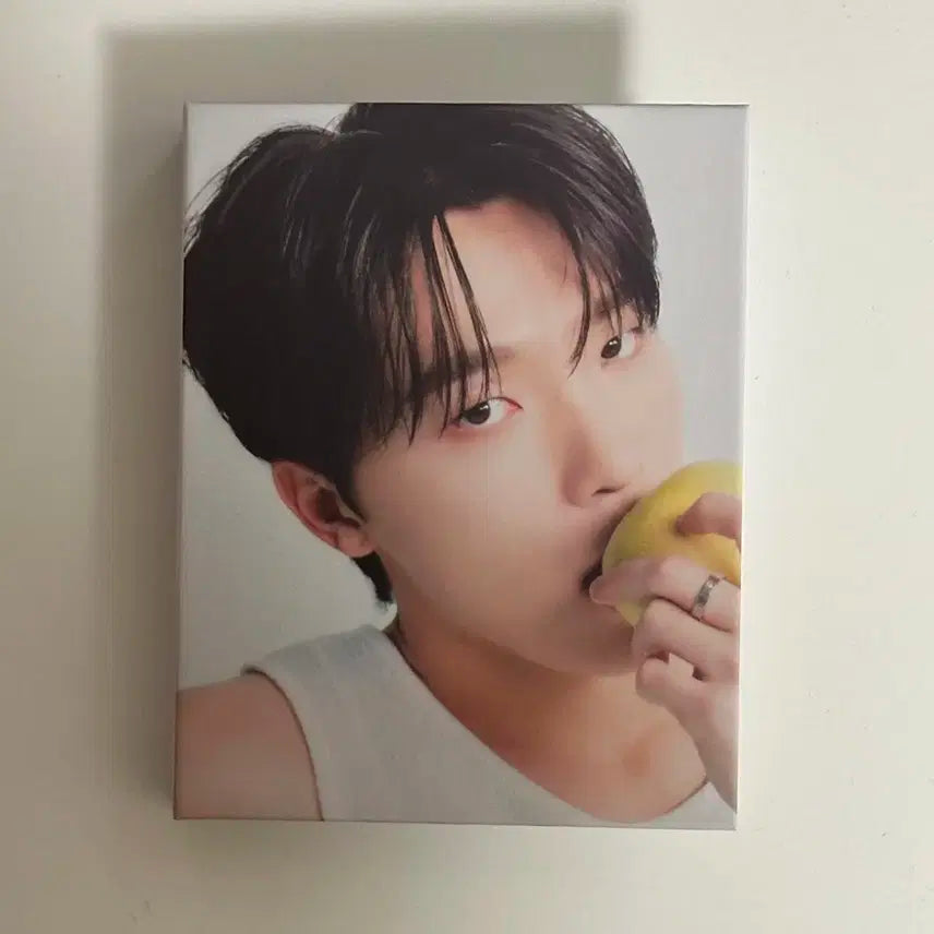 세븐틴 베스트 앨범 디어반 캐럿반 디노 양도