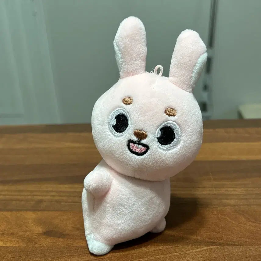 원가양도) 데이식스 데니멀즈 핸드워머 손난로 필 필끼