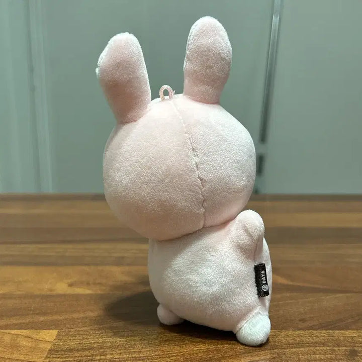 원가양도) 데이식스 데니멀즈 핸드워머 손난로 필 필끼
