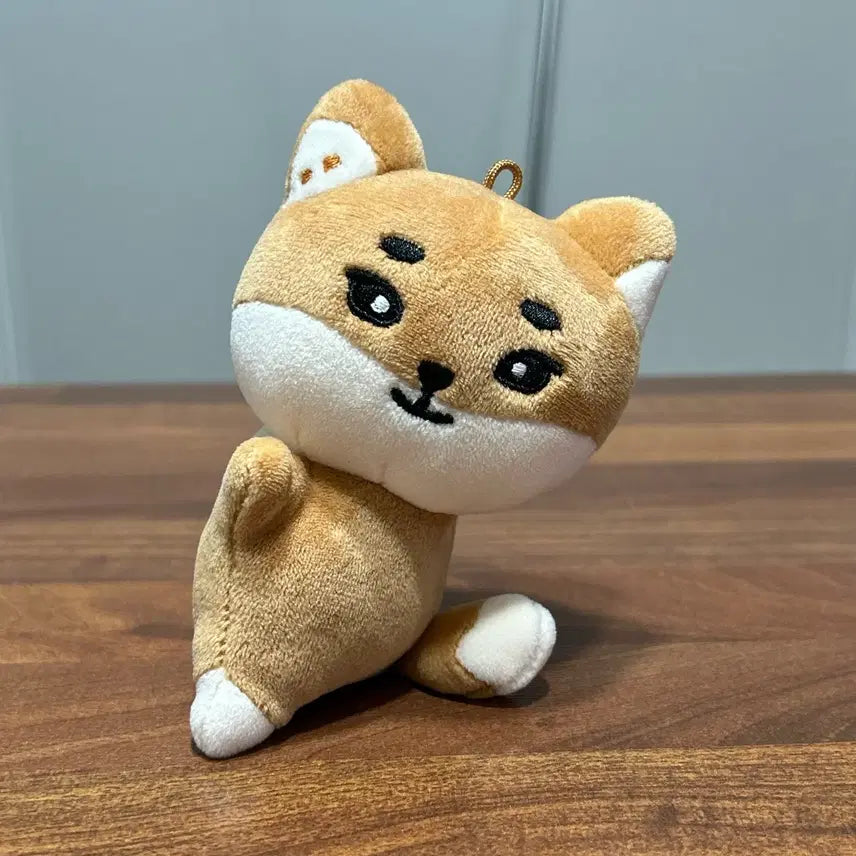 원가양도) 데이식스 데니멀즈 핸드워머 케 케둥이