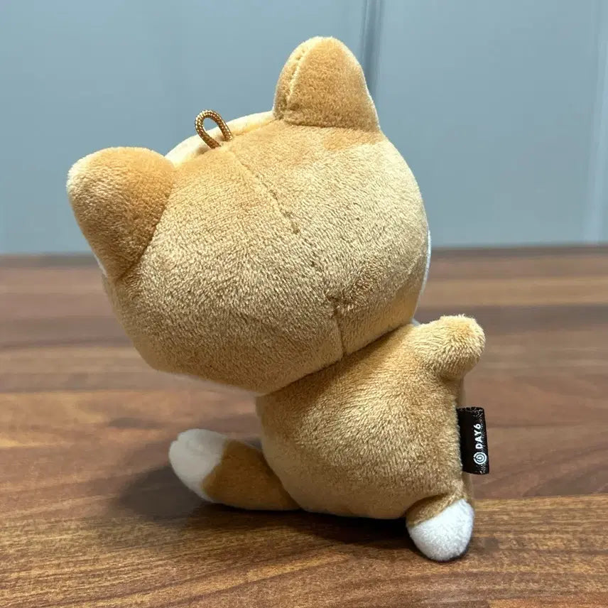 원가양도) 데이식스 데니멀즈 핸드워머 케 케둥이