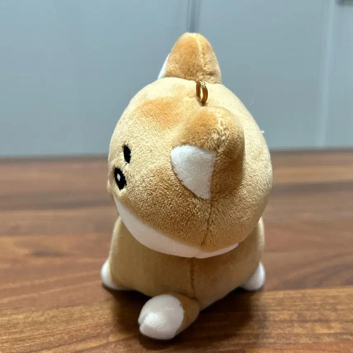 원가양도) 데이식스 데니멀즈 핸드워머 케 케둥이