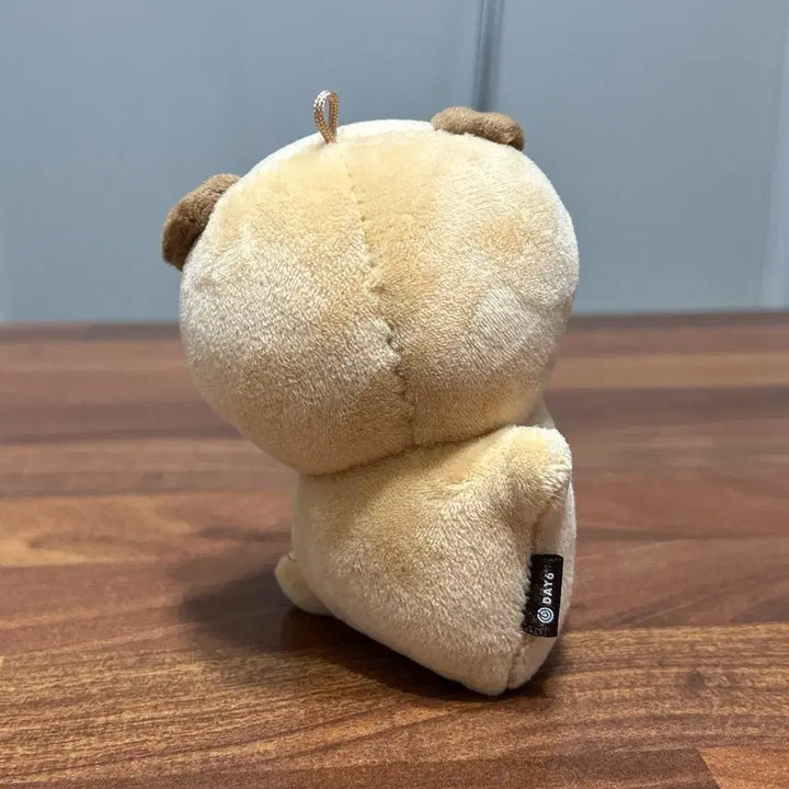 원가양도) 데이식스 데니멀즈 돈 핸드워머