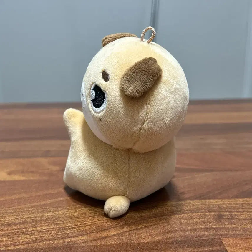 원가양도) 데이식스 데니멀즈 돈 핸드워머