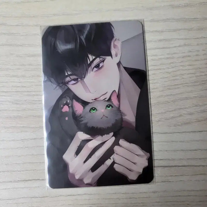 플레이브 데뷔1주년 비공굿 포카