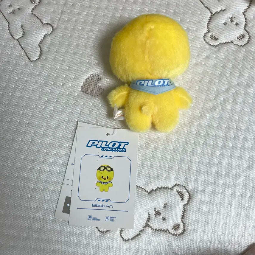 콩키주 스키주 파일럿 뽁아리 (고글O)