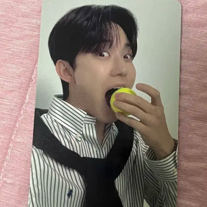 데이식스 도운 웰쇼콘 포카 양도