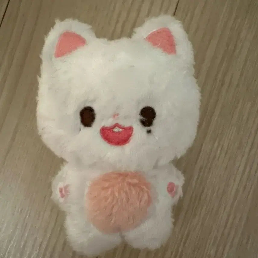 Sf9 인성 인형 냥린이