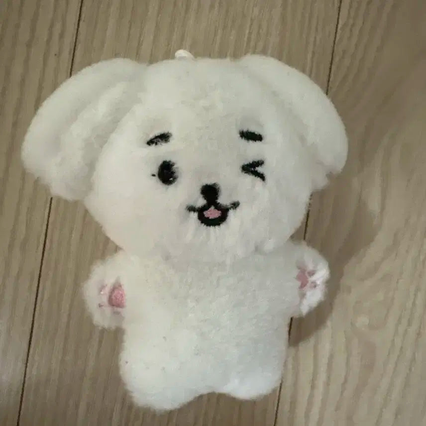 Sf9 재윤 인형 쟁둥이