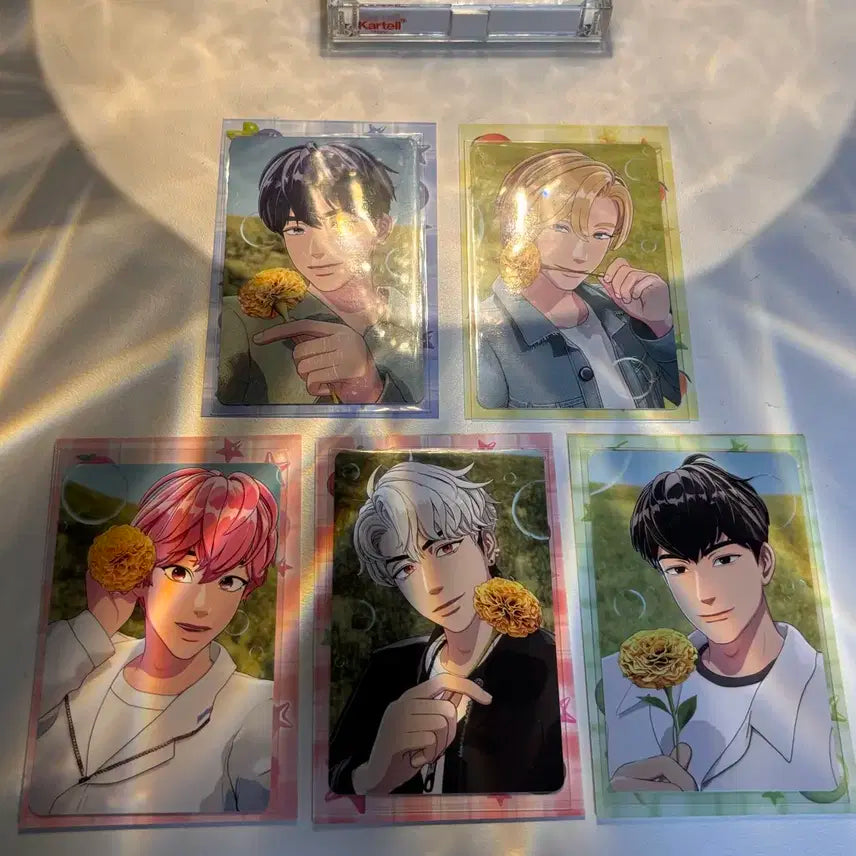 플레이브 메디힐 2차 포카