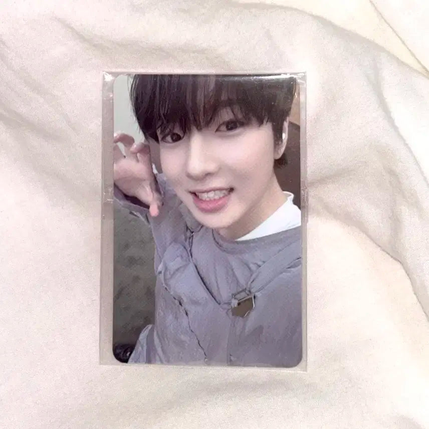 엔시티 위시 사쿠야 포카 양도 송버드 슴스 럭드 럭키드로우 nct