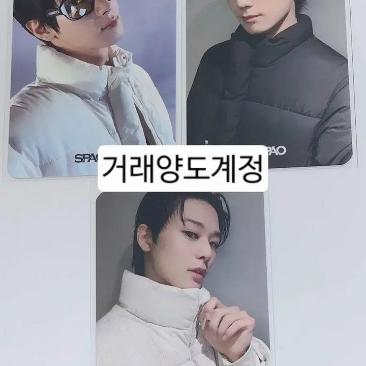 더보이즈 주연 이주연 스파오 SPAO 쭈파오 포토카드 양도 판매