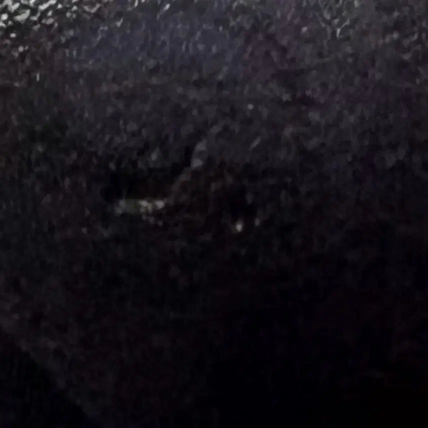 별의장 SANCTUARY 수빈 포카 팔아요