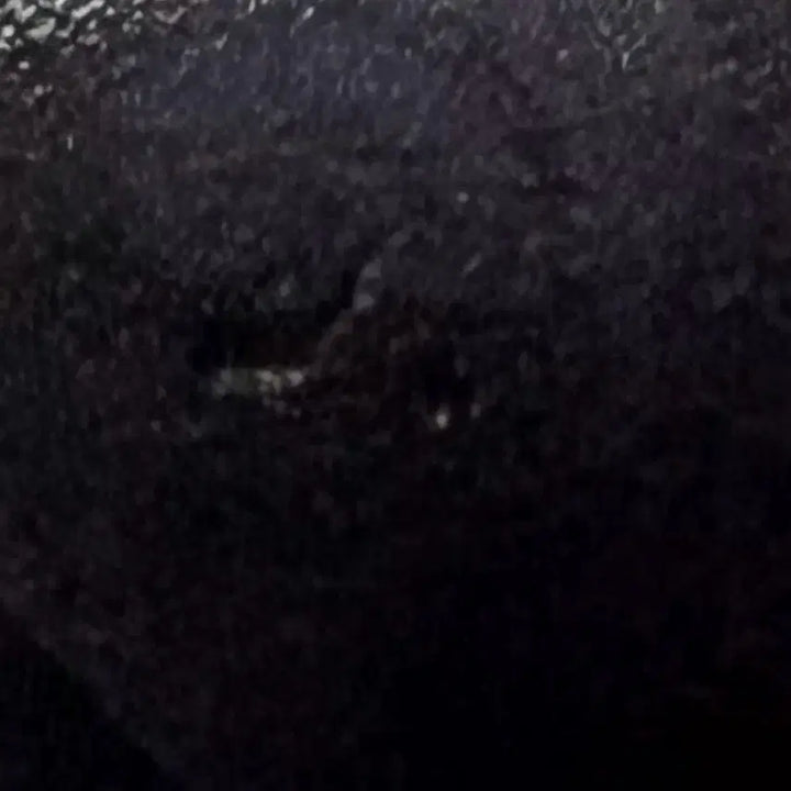 별의장 SANCTUARY 수빈 포카 팔아요