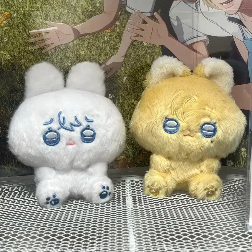 플레이브 놔쫑 예쫑 일괄 택포