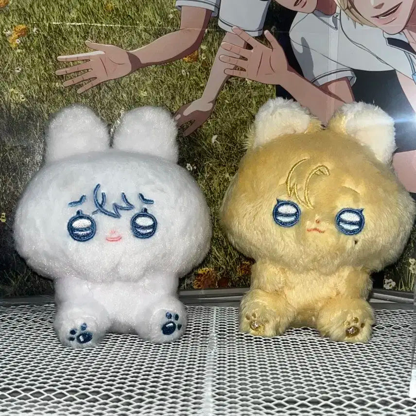 플레이브 놔쫑 예쫑 일괄 택포