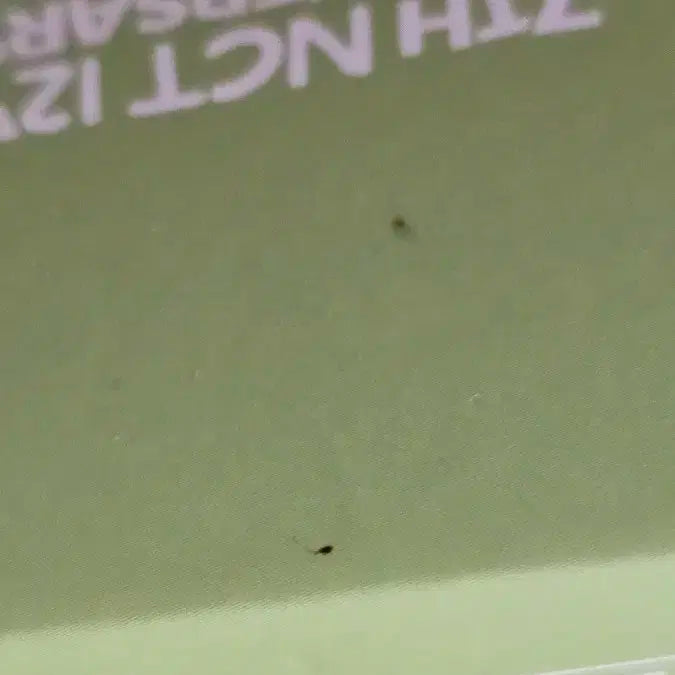 nct127 diy 플라스틱 와인컵 set_정우