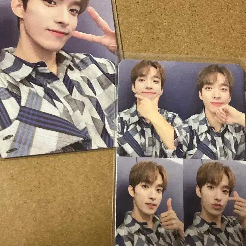 세븐틴 도겸 헹가래 넷 버전 포토카드 일괄 양도
