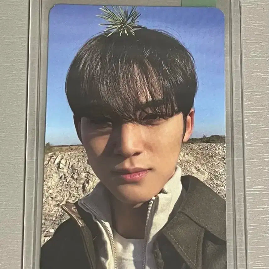 세븐틴 민규 페더썬