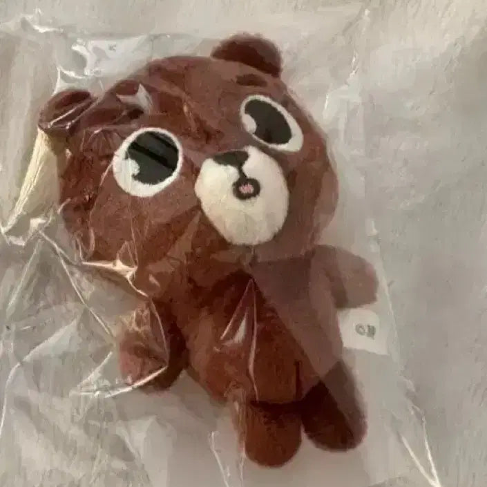 데이식스 일본md 방이백참판매