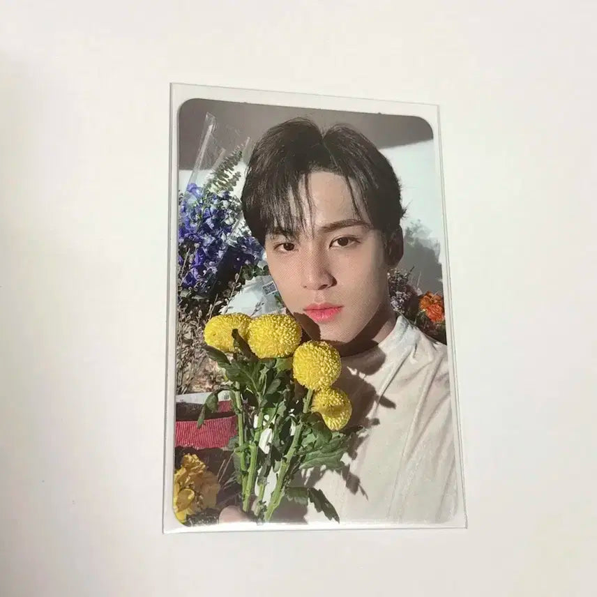 세븐틴 김민규 포카