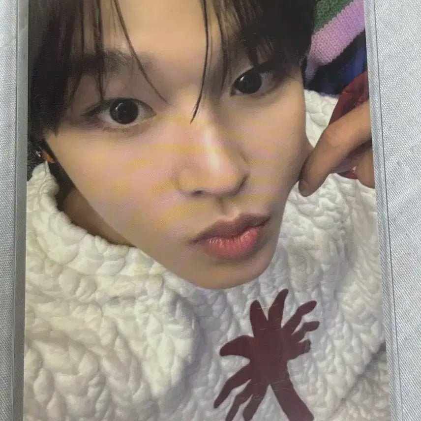 로그인 투어 리쿠 포카