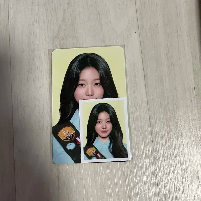 미개봉)아이브 장원영  엠디 굿즈 목베개 포카 증사유진가을레이리즈이서