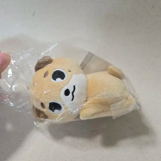 [미개봉] 돈 핸드워머 데이식스 데니멀즈 손난로