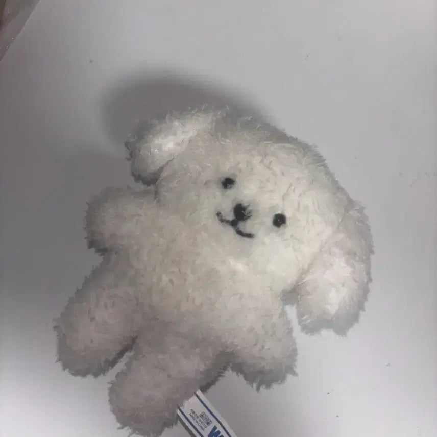 엔시티 드림 제노 인형 뮤즈님 젠몽이