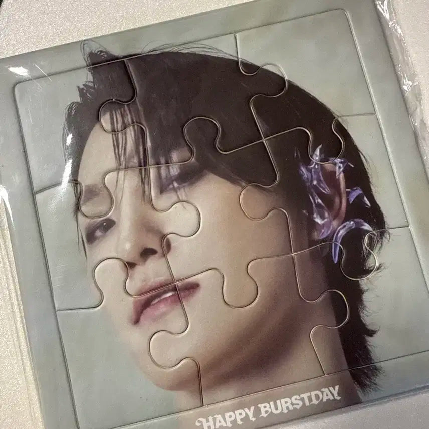 세븐틴 퍼즐 디노