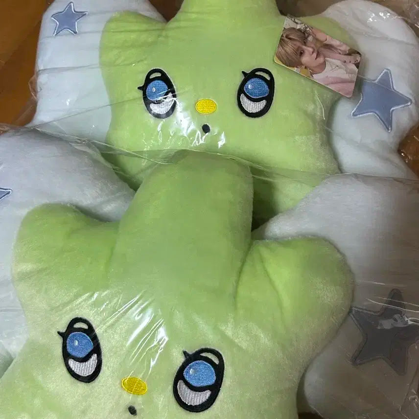 엔시티위시 위츄쿠션 유우시 양도