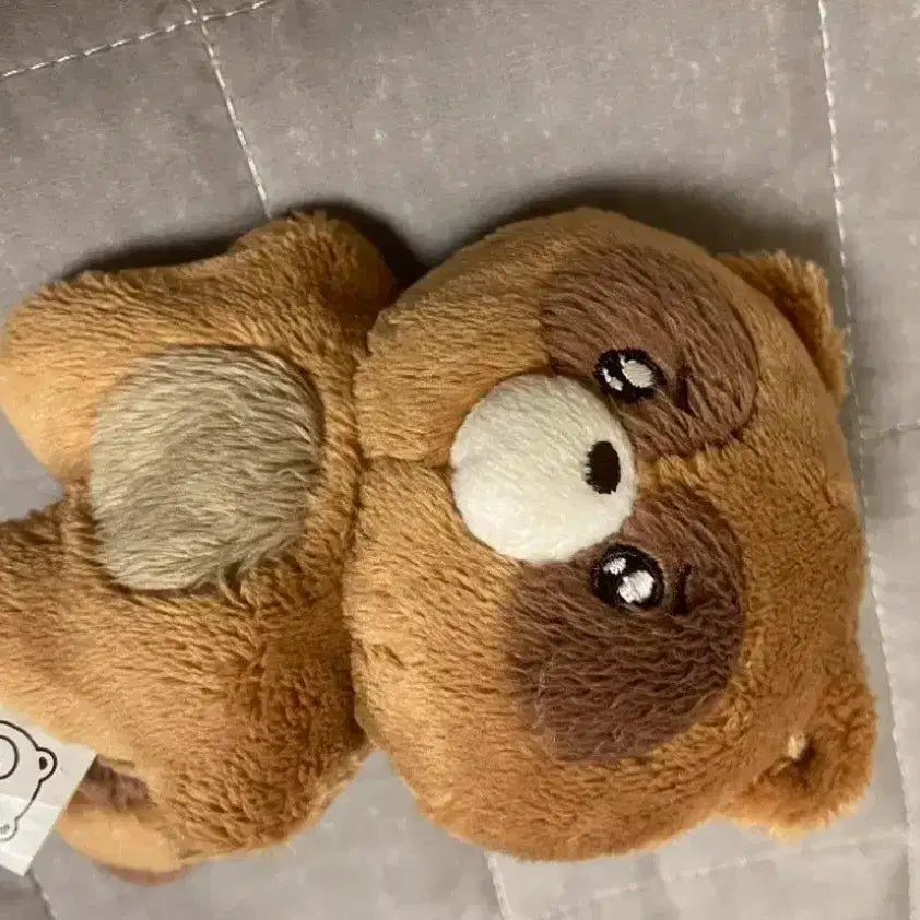 선우더보이즈 인형