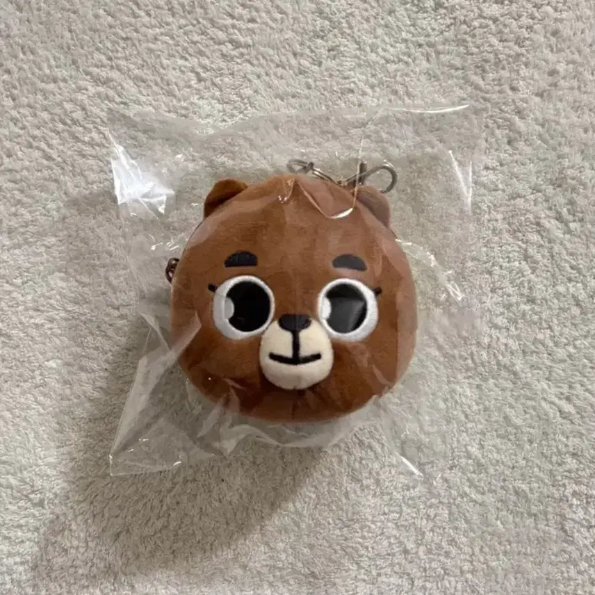 데이식스 데니멀즈 페이스파우치 방