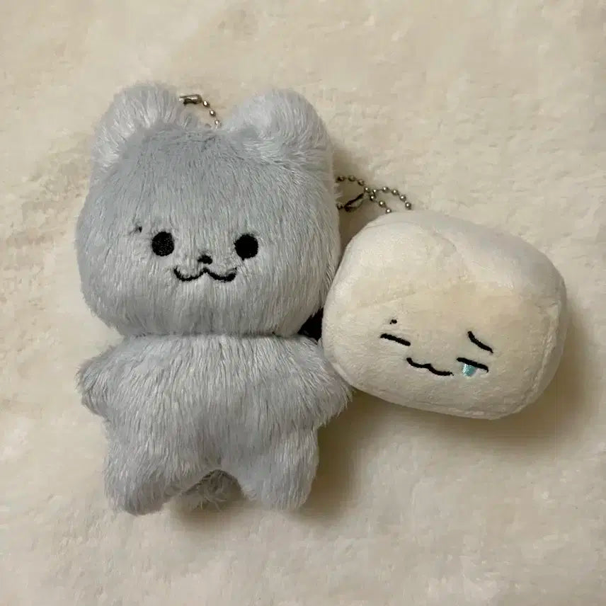 쥬냥이, 한입 베어먹은 쭈부 양도 (더보이즈 주연 인형 3차)
