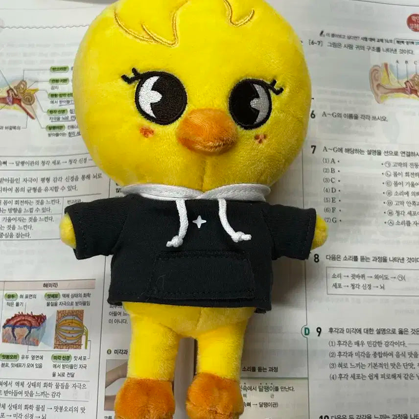 스트레이키즈 스키즈 필릭스 이용복 뽁아리 오리지널 인형 스키주 판매